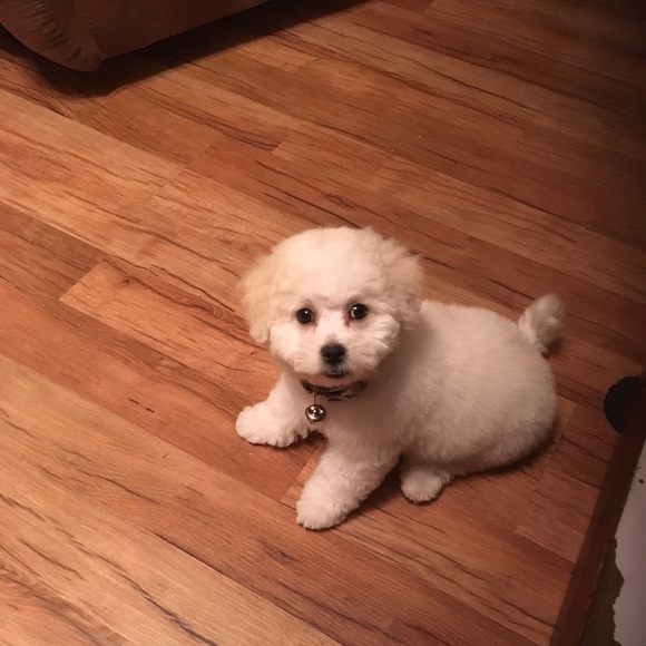 Meet your Posher, Sandra - Picture 1 of 1